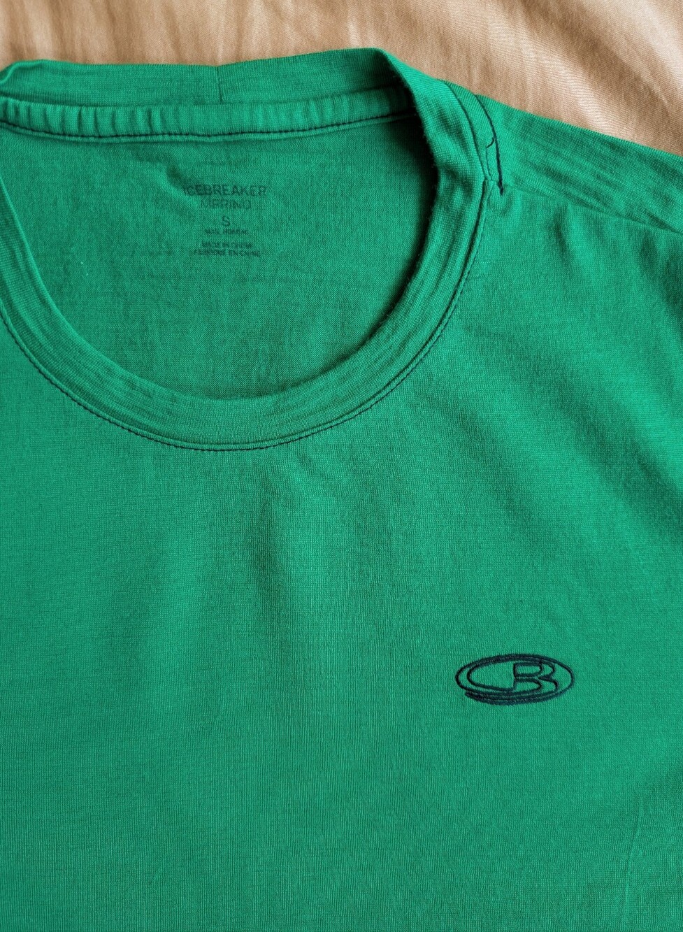 Icebreaker Men's Merino Wool Green Crew Neck Tee with Small Embroidered Logo
